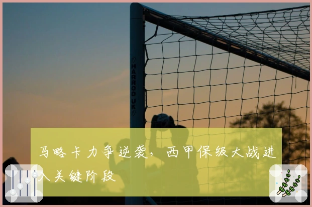 马略卡力争逆袭,西甲保级大战进入关键阶段